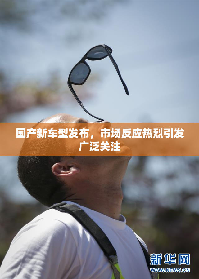 国产新车型发布，市场反应热烈引发广泛关注