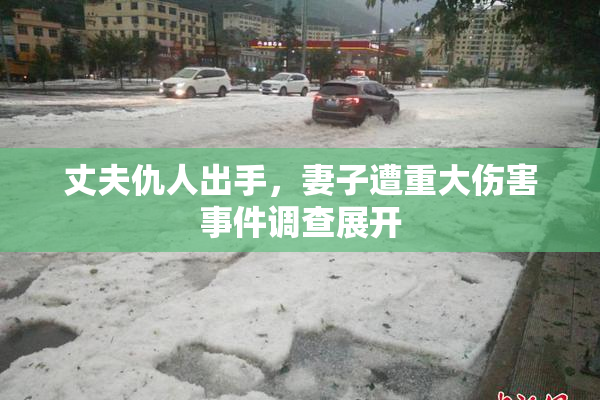 丈夫仇人出手，妻子遭重大伤害事件调查展开
