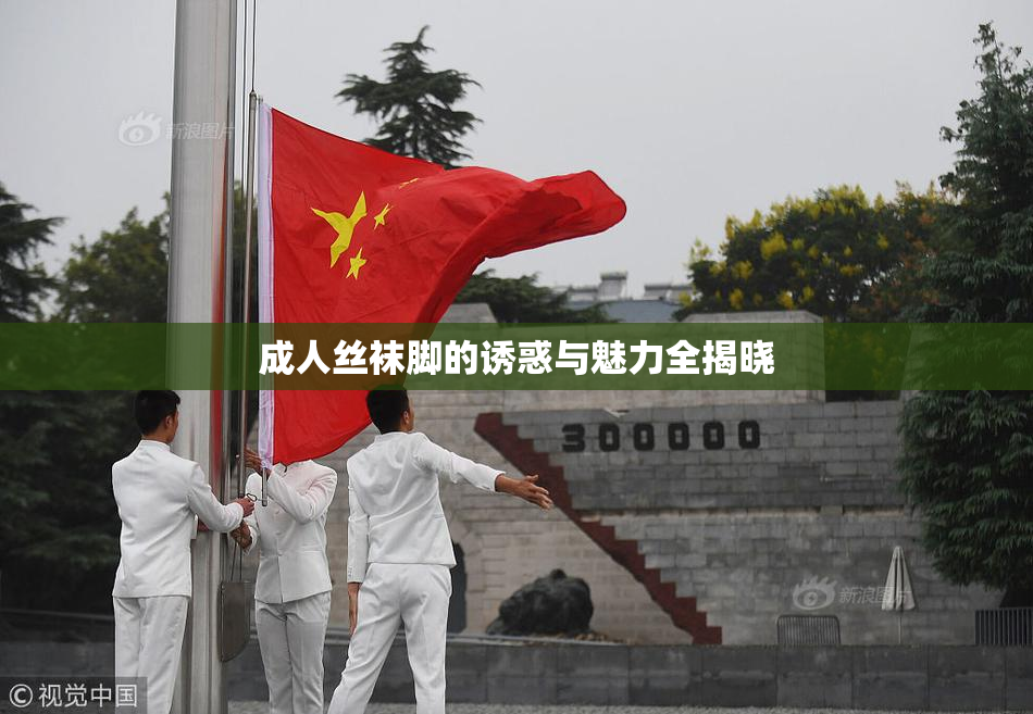 成人丝袜脚的诱惑与魅力全揭晓