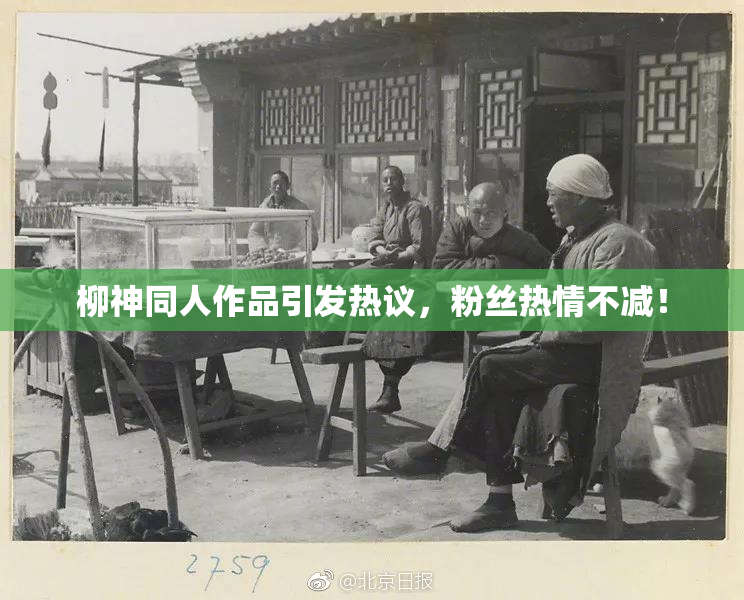 柳神同人作品引发热议，粉丝热情不减！
