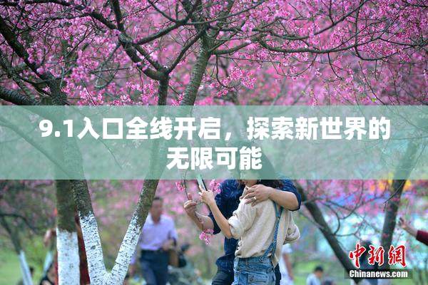 9.1入口全线开启，探索新世界的无限可能