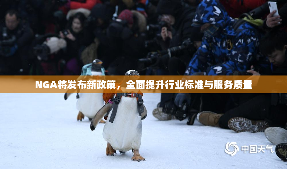 NGA将发布新政策，全面提升行业标准与服务质量