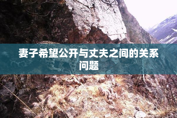 妻子希望公开与丈夫之间的关系问题