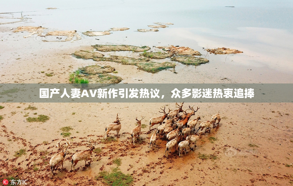 国产人妻AV新作引发热议，众多影迷热衷追捧