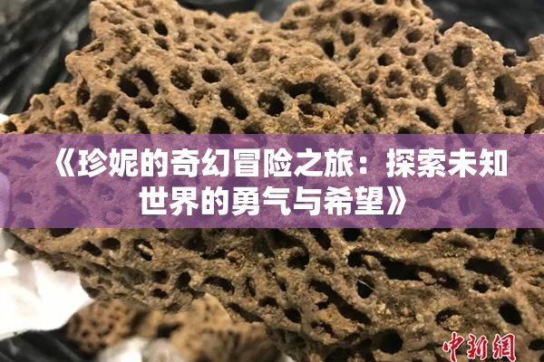《珍妮的奇幻冒险之旅：探索未知世界的勇气与希望》