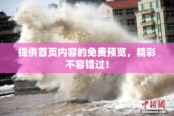 提供首页内容的免费预览，精彩不容错过！