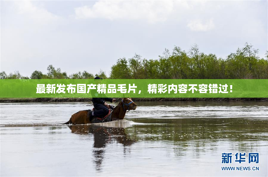 最新发布国产精品毛片，精彩内容不容错过！