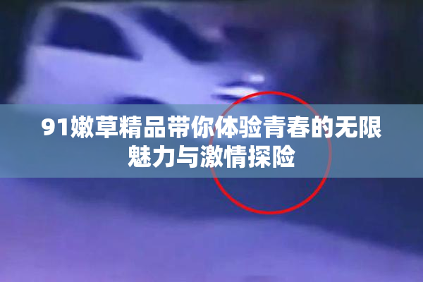 91嫩草精品带你体验青春的无限魅力与激情探险