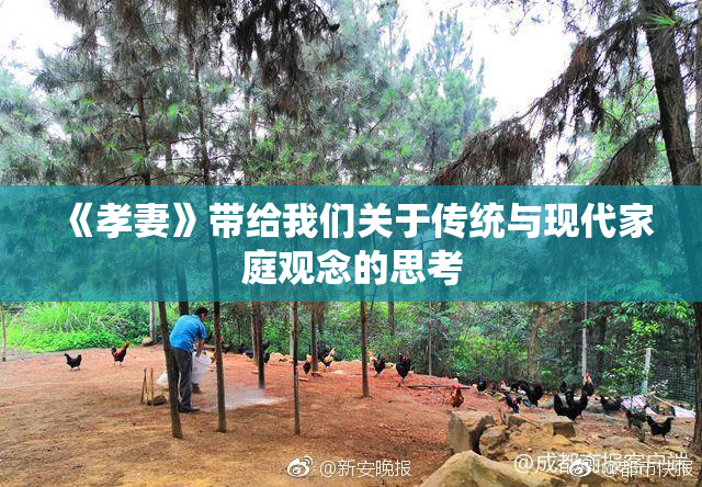 《孝妻》带给我们关于传统与现代家庭观念的思考