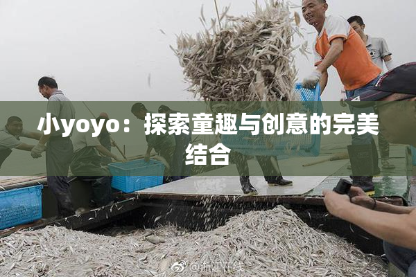 小yoyo：探索童趣与创意的完美结合