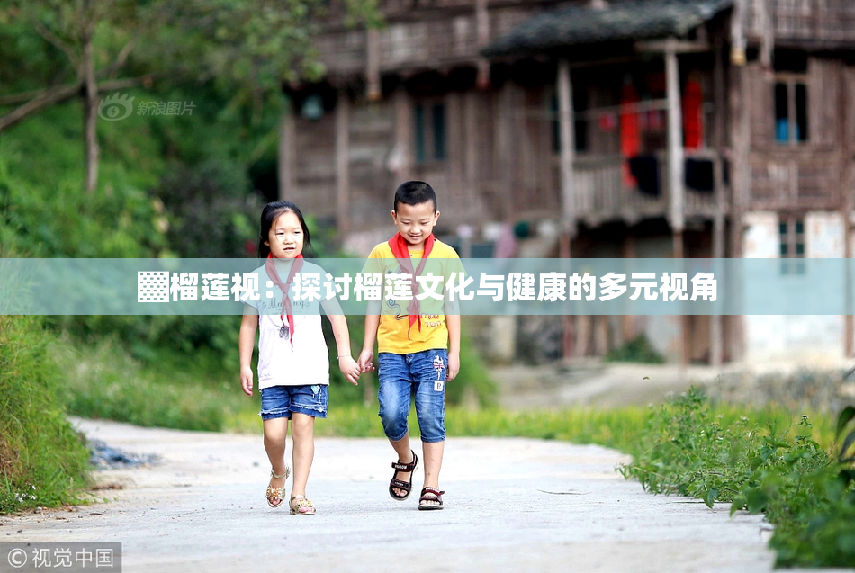 ▓榴莲视：探讨榴莲文化与健康的多元视角