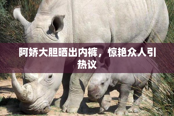 阿娇大胆晒出内裤，惊艳众人引热议
