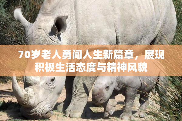 70岁老人勇闯人生新篇章，展现积极生活态度与精神风貌