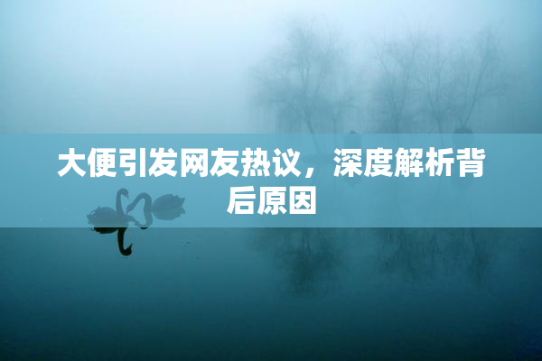大便引发网友热议，深度解析背后原因