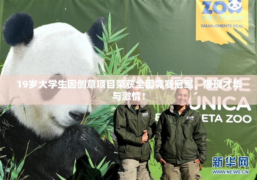 19岁大学生因创意项目荣获全国竞赛冠军，展现才华与激情！