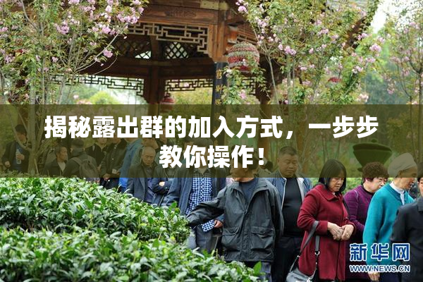 揭秘露出群的加入方式，一步步教你操作！