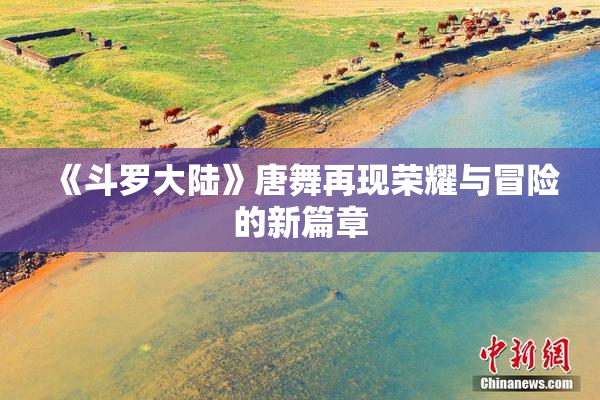 《斗罗大陆》唐舞再现荣耀与冒险的新篇章
