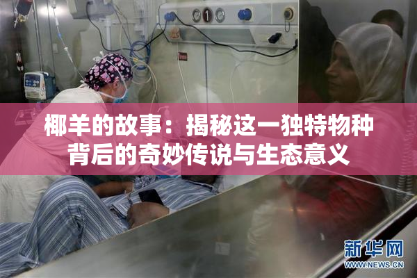 椰羊的故事：揭秘这一独特物种背后的奇妙传说与生态意义