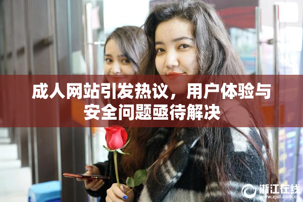 成人网站引发热议，用户体验与安全问题亟待解决