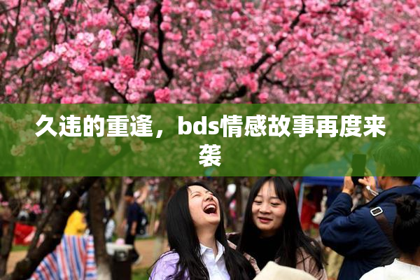 久违的重逢，bds情感故事再度来袭