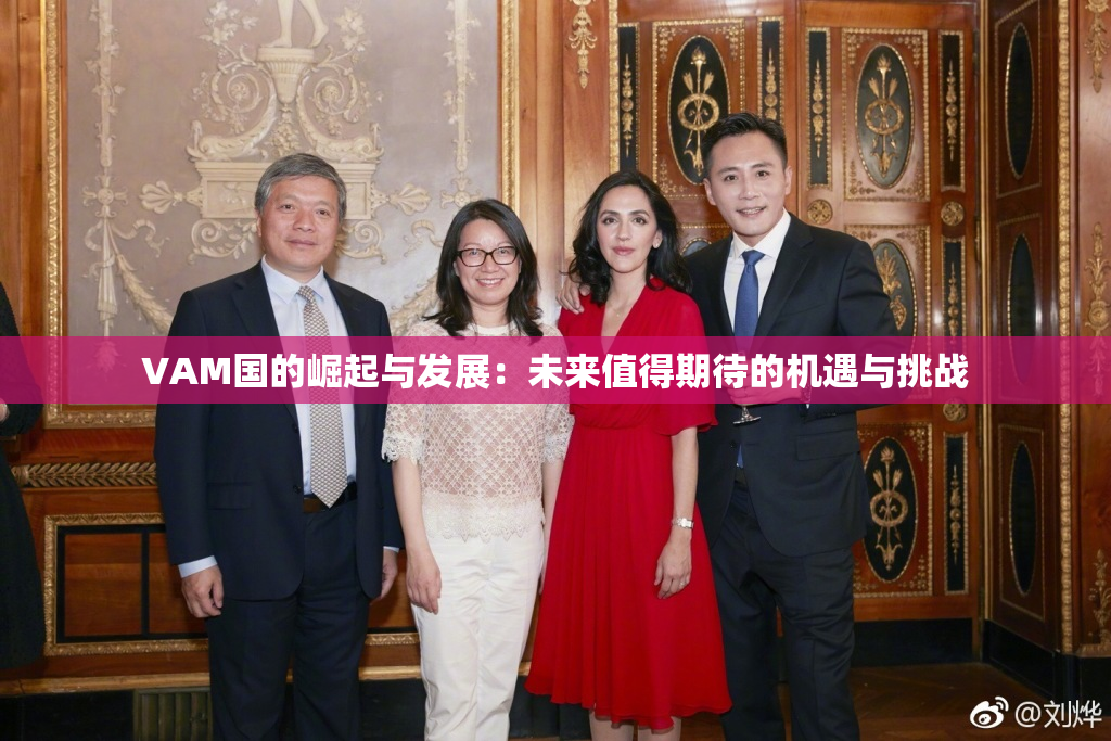 VAM国的崛起与发展：未来值得期待的机遇与挑战