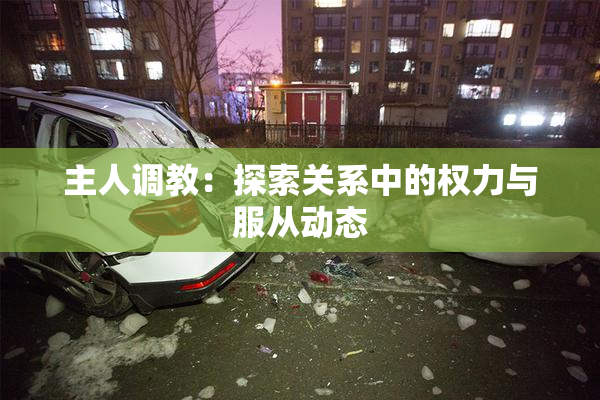 主人调教：探索关系中的权力与服从动态