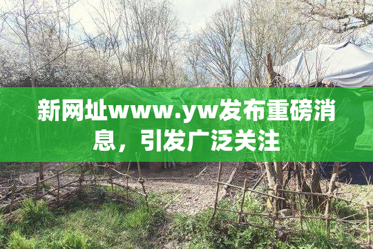 新网址www.yw发布重磅消息，引发广泛关注