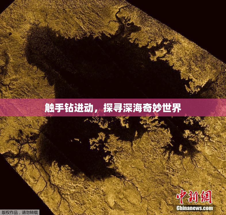 触手钻进动，探寻深海奇妙世界