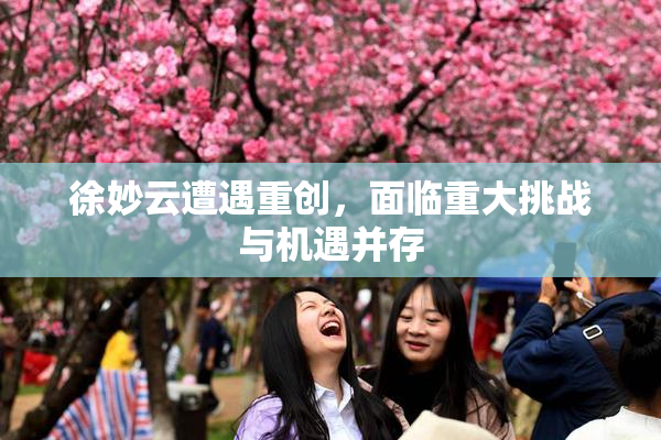 徐妙云遭遇重创，面临重大挑战与机遇并存