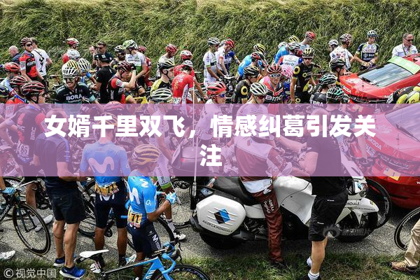 女婿千里双飞，情感纠葛引发关注