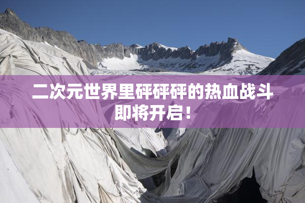 二次元世界里砰砰砰的热血战斗即将开启！