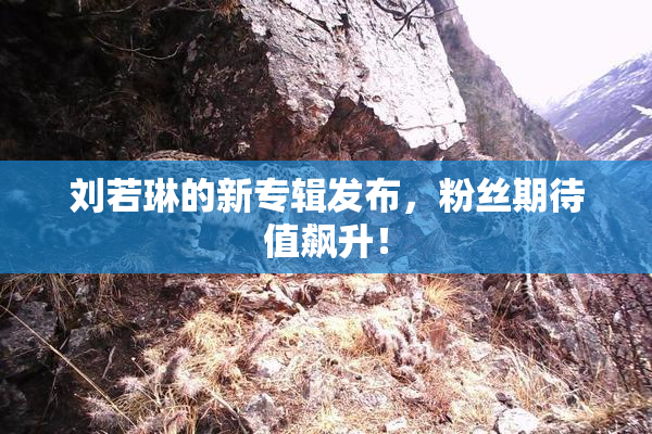 刘若琳的新专辑发布，粉丝期待值飙升！