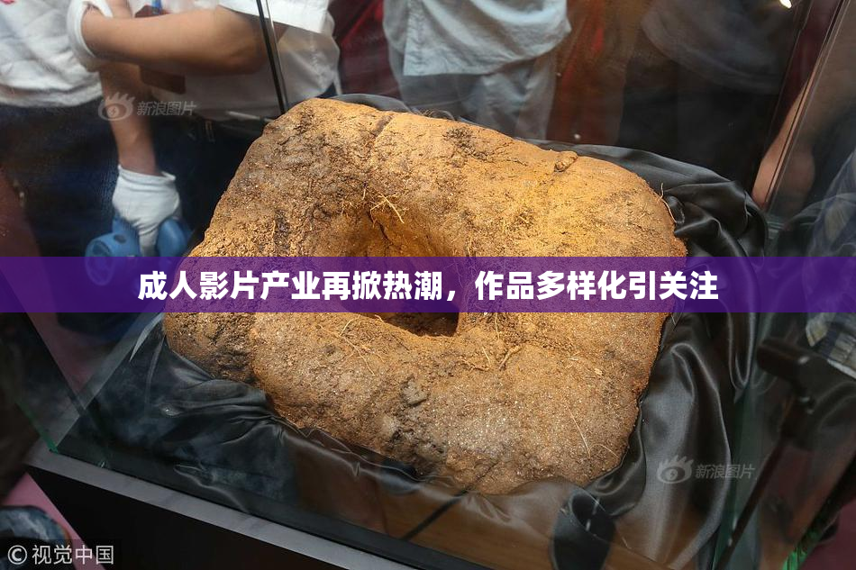 成人影片产业再掀热潮，作品多样化引关注
