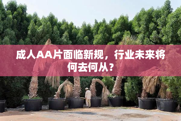 成人AA片面临新规，行业未来将何去何从？