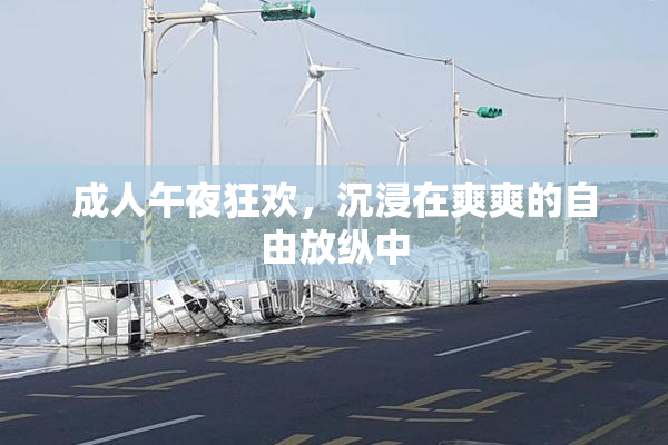 成人午夜狂欢，沉浸在爽爽的自由放纵中
