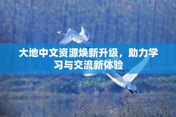 大地中文资源焕新升级，助力学习与交流新体验