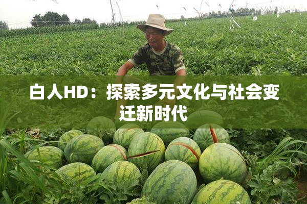 白人HD：探索多元文化与社会变迁新时代