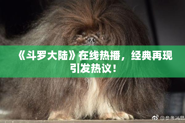 《斗罗大陆》在线热播，经典再现引发热议！