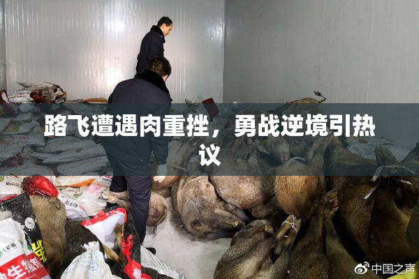 路飞遭遇肉重挫，勇战逆境引热议