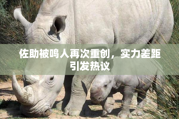 佐助被鸣人再次重创，实力差距引发热议