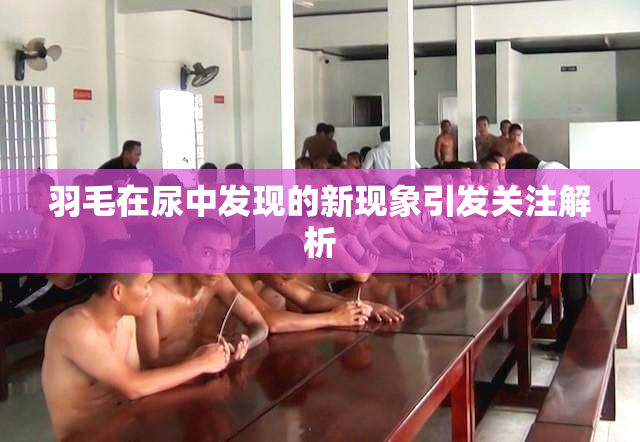 羽毛在尿中发现的新现象引发关注解析