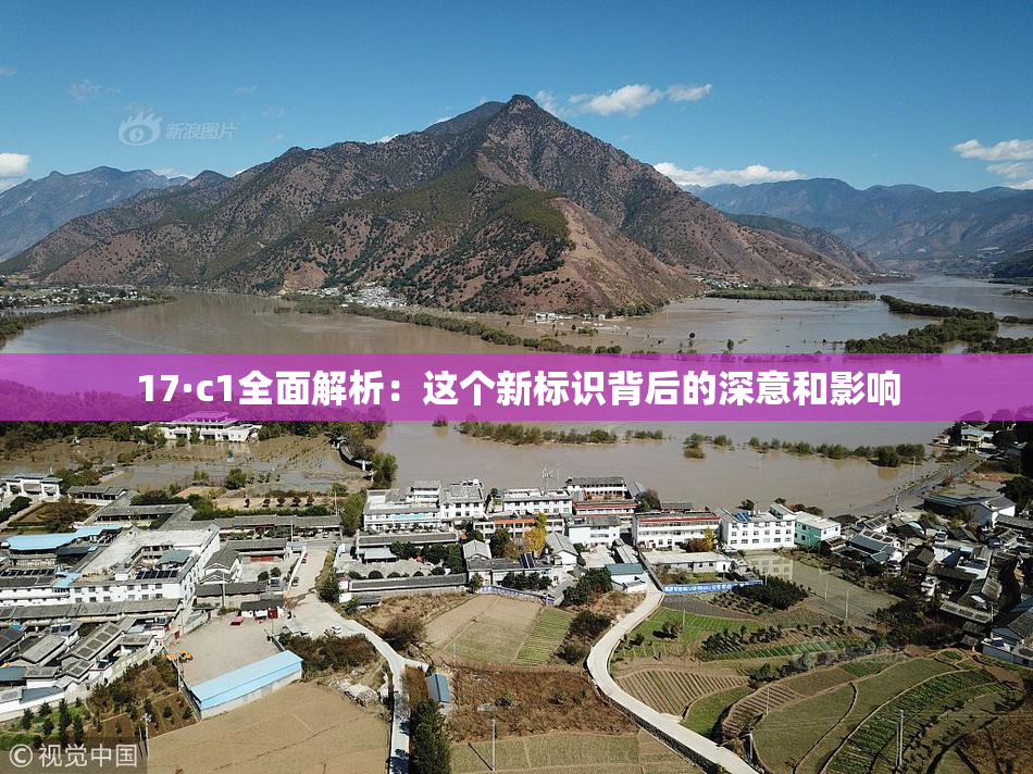 17·c1全面解析：这个新标识背后的深意和影响