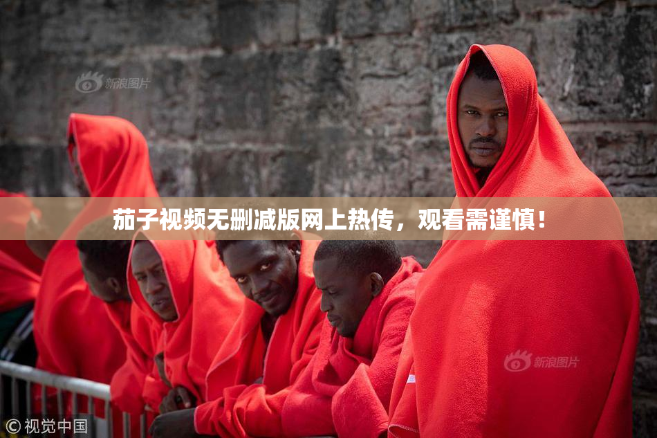 茄子视频无删减版网上热传，观看需谨慎！