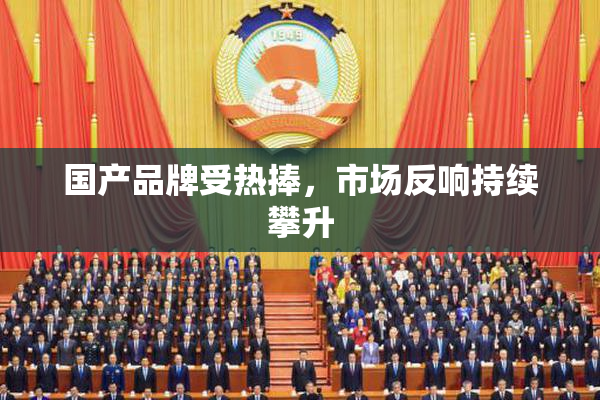 国产品牌受热捧，市场反响持续攀升