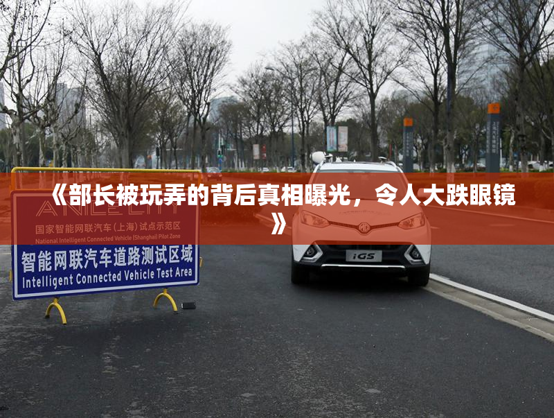 《部长被玩弄的背后真相曝光，令人大跌眼镜》