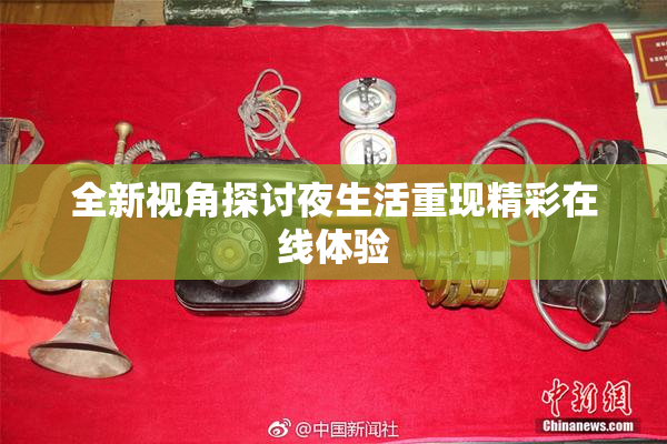 全新视角探讨夜生活重现精彩在线体验