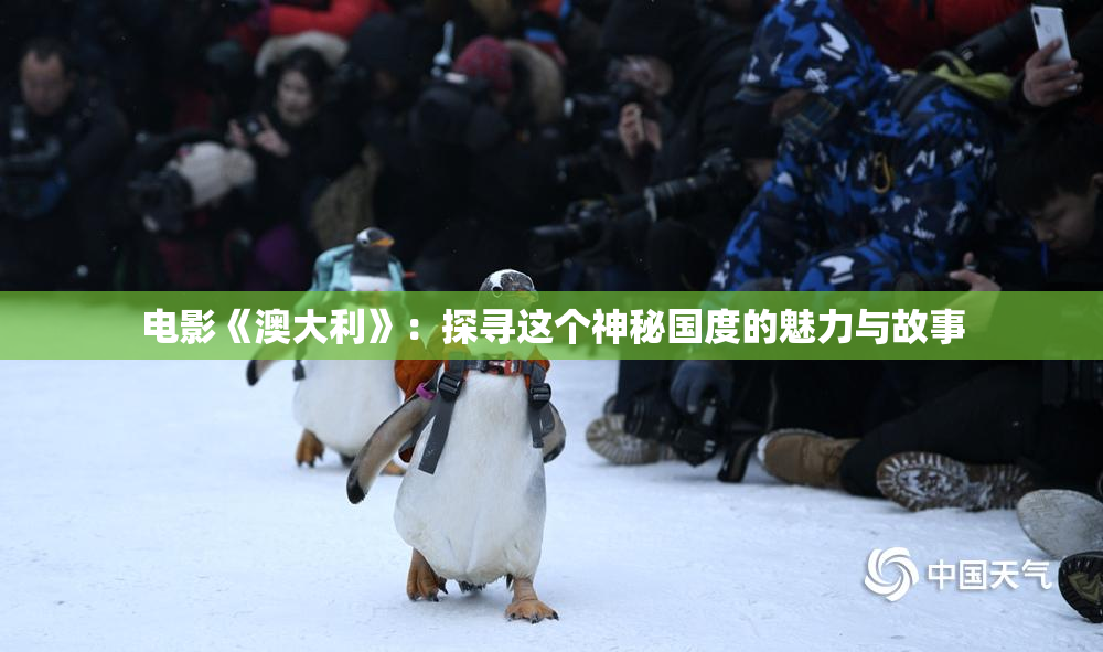 电影《澳大利》：探寻这个神秘国度的魅力与故事