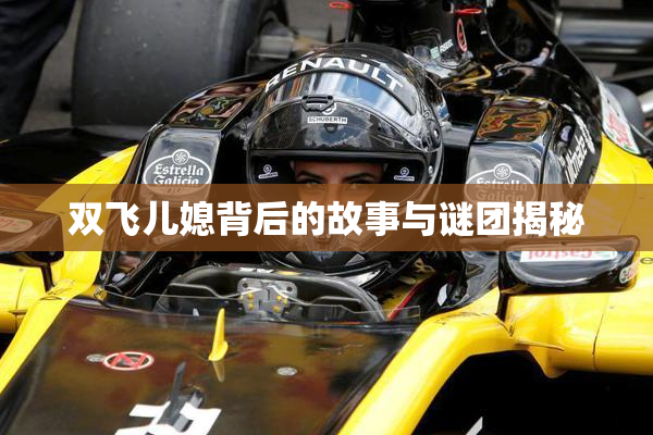 双飞儿媳背后的故事与谜团揭秘