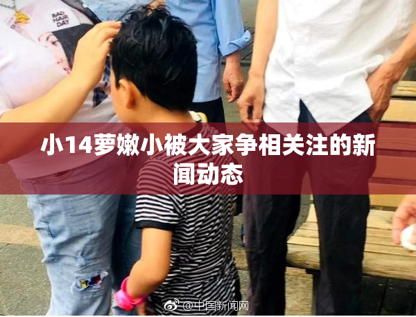 小14萝嫩小被大家争相关注的新闻动态