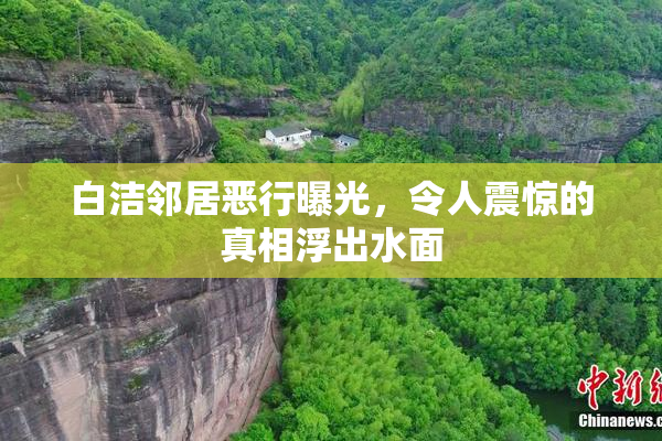 白洁邻居恶行曝光，令人震惊的真相浮出水面